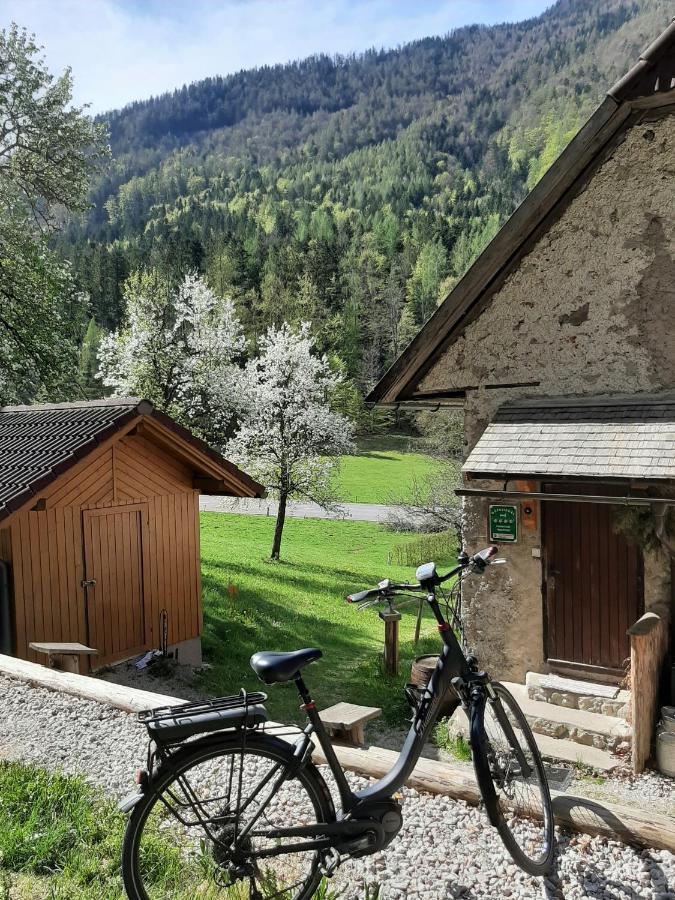 Ferienhaus Hirschnest Sankt Pankraz Buitenkant foto