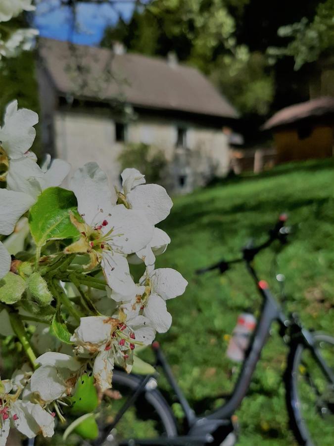 Ferienhaus Hirschnest Sankt Pankraz Buitenkant foto