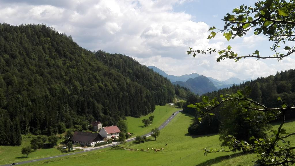 Ferienhaus Hirschnest Sankt Pankraz Buitenkant foto