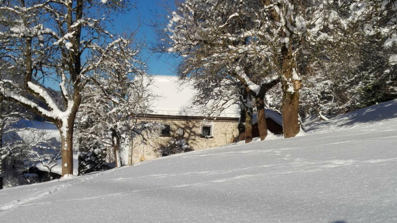 Ferienhaus Hirschnest Sankt Pankraz Buitenkant foto