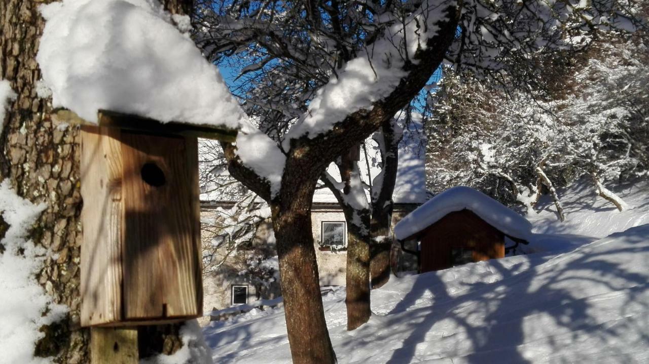 Ferienhaus Hirschnest Sankt Pankraz Buitenkant foto