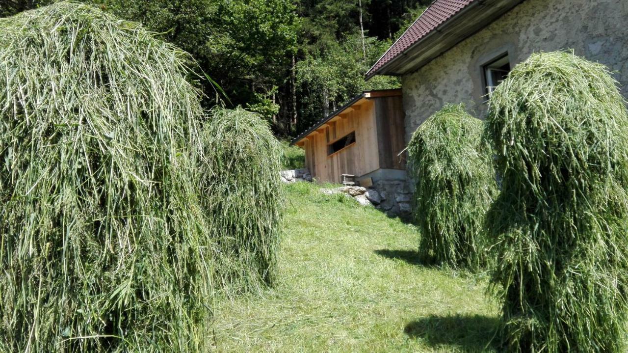 Ferienhaus Hirschnest Sankt Pankraz Buitenkant foto