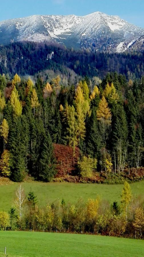 Ferienhaus Hirschnest Sankt Pankraz Buitenkant foto